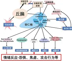 官方：Doinb英超的传控数据真的简单介绍|fg捕鱼游戏官网
